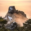 금수강산 이미지