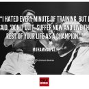 서초권투체육관 이미지