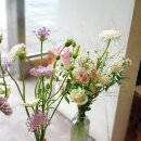 [마곡, 발산] 세미나, 회의실