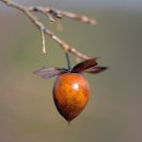 나라편의점 이미지