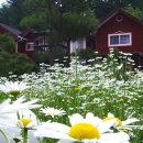 줄리에뜨 펜션 이미지