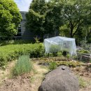 형래농장 이미지