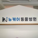 뉴케어 동물병원 이미지