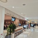 별식당 | 영등포 타임스퀘어 식당 비와별닭갈비 내돈내산 한식 맛집 메뉴 추천 후기