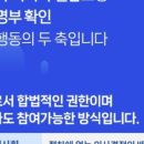 노사레이버