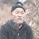자연인 이미지