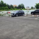 플러피독 이미지