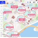(주)코리아세븐대치3호점 | [지역공부]서울 성동구 금호2.3가동, 4가동, 옥수동 지역분석