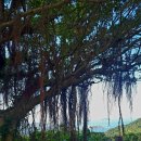 은파피아노학원 이미지