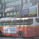 웅천농협주유소 이미지