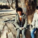 배추머리미용실 Daum카페