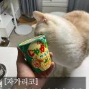 최간식 | [#집사 로그] 일본 여행 편의점/간식/디저트 내돈내산 후기 편 - (2)