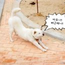 홍성어린이집 이미지