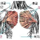 체육사