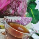 세청농장 | 양배추 효능 알면서 제가 먹는방법 공유해봐요!