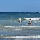 와랑와랑 이미지