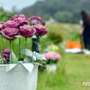 영락공원(2추모관) 이미지