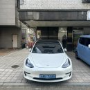 삼송 애견미용 천연스파 잘하는 도그이살롱
