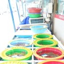 윤희네뻘낙지전문점 | 전남 무안 맛집 연포탕 깔끔한 윤희네뻘낙지전문점