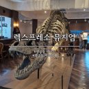 뮤지엄카페 - 과천시 샘터길 51 | 수원 행궁동 이색 데이트 코스 렉스프레소 뮤지엄 행궁 카페 후기