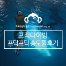프닥프닥 이미지