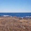 애월환해장성 이미지