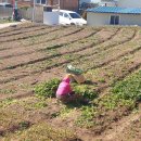 남해군창선면대벽보건진료소 | [업종별전화번호]창선면 업종별전화번호안내