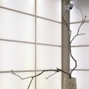 밝은달한의원 이미지