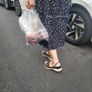 한길김밥 | 대구 칠곡3지구 반찬가게 김밥 맛집 한길로그대로