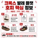 호피 | 크록스 발레 플랫 슈즈 호피 지비츠 사이즈 코디 후기 총정리