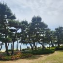창조조경건설