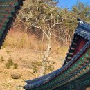 진주 응석사 대웅전 이미지
