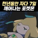 내 사주 기운이 포켓몬이라면? 이미지