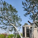 NR-6[종로]-하-347 | 살며 사랑하며_서울 북촌 투어