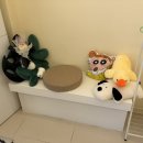 씨유천안두정본점 | 속눈썹연장 잘하는곳] 자연스럽고 풍성한 속눈썹연장 맛집 "벨르리룸 천안두정본점" 실장님 추천 후기