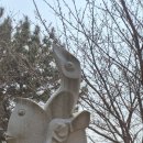 등대길26 Daum카페