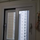 일성트루엘더퍼스트 이미지