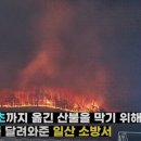 일산소방서 이미지