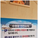 가족 여행 끝판왕! 태안키즈펜션 아이랑키즈풀빌라 201호 솔직 리뷰