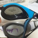 블루 | 스피도 하이퍼엘리트 마야블루 재구매 후기