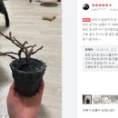 꾸리팜