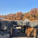 더불어숲 이미지