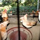 현인농원 이미지