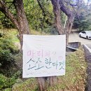 모두다 이음 클래스(수채화) | 산청이음 10월 지리산 이끼 탐방 &amp; 테라리움 클래스 후기