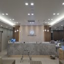 365편한내과의원 이미지