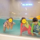 폴앤풀-양주