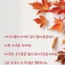 블러썸 이미지