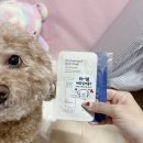 힐링 스파 | 창원 두피마사지 추천 더벨벳뷰티&amp;스파 힐링헤드스파 후기