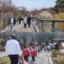 남동문화체육광장(2호) | 인천 시청 중앙 공원 – 도심 속 녹색 쉼터, 문화와 자연이 어우러진 공간