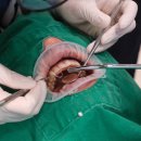 루치과의원 이미지